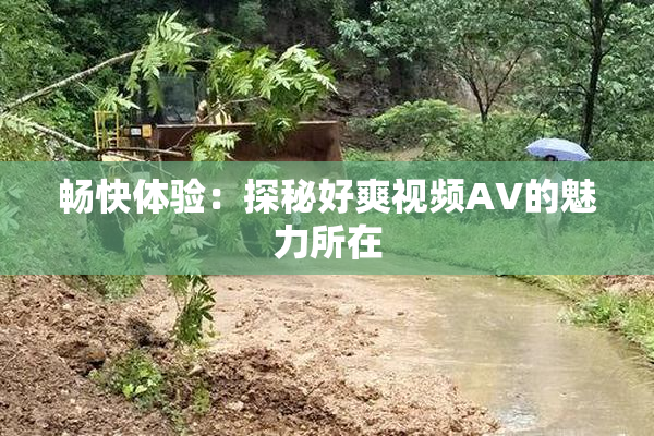 畅快体验：探秘好爽视频AV的魅力所在