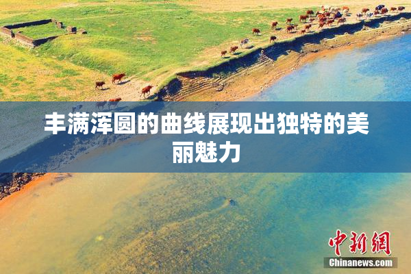 丰满浑圆的曲线展现出独特的美丽魅力