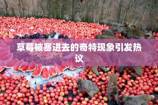 草莓被塞进去的奇特现象引发热议
