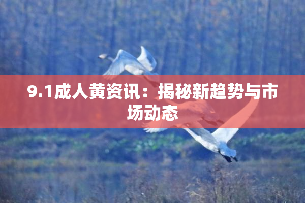 9.1成人黄资讯：揭秘新趋势与市场动态