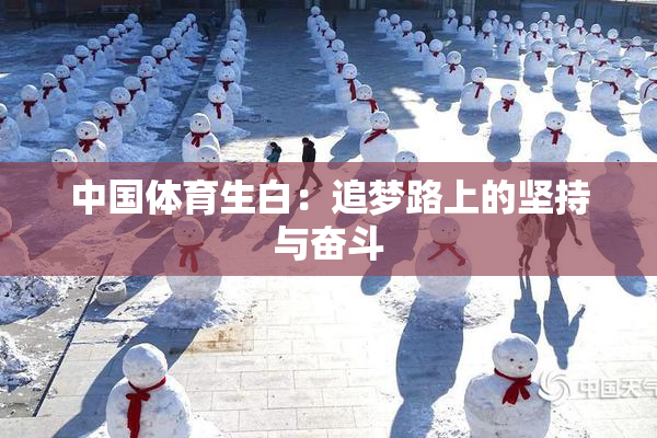 中国体育生白：追梦路上的坚持与奋斗