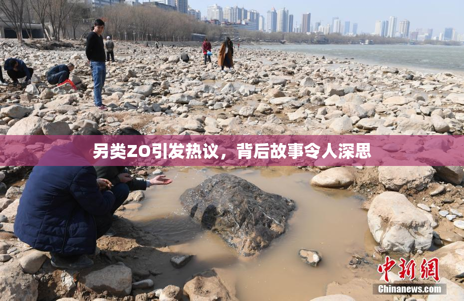 另类ZO引发热议，背后故事令人深思