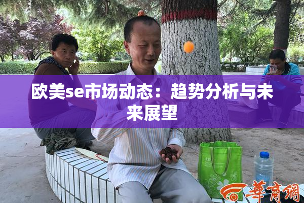 欧美se市场动态：趋势分析与未来展望