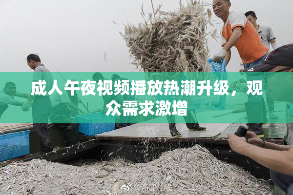 成人午夜视频播放热潮升级，观众需求激增