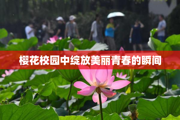 樱花校园中绽放美丽青春的瞬间