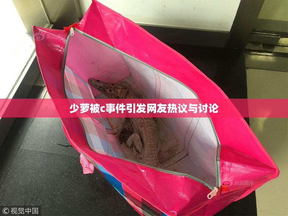 少萝被c事件引发网友热议与讨论