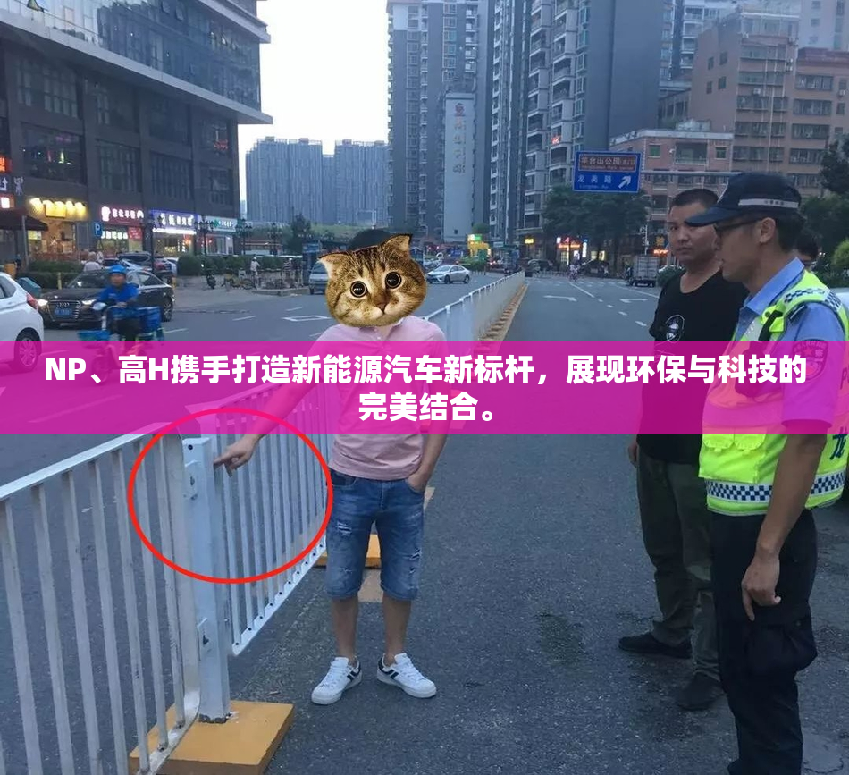 NP、高H携手打造新能源汽车新标杆，展现环保与科技的完美结合。