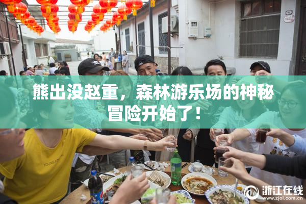 熊出没赵重，森林游乐场的神秘冒险开始了！