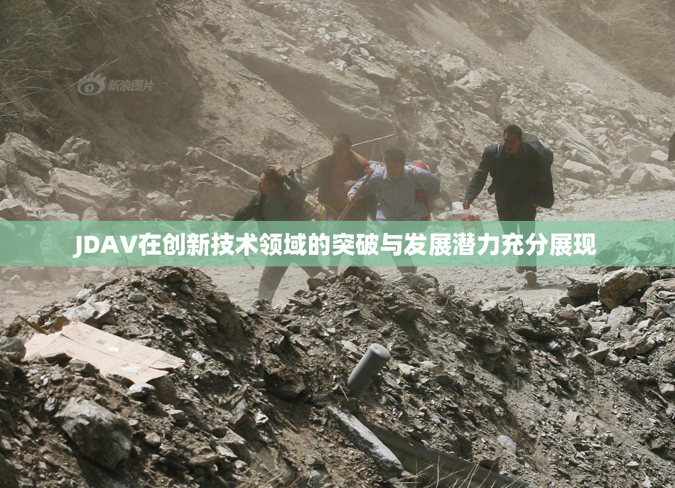 JDAV在创新技术领域的突破与发展潜力充分展现