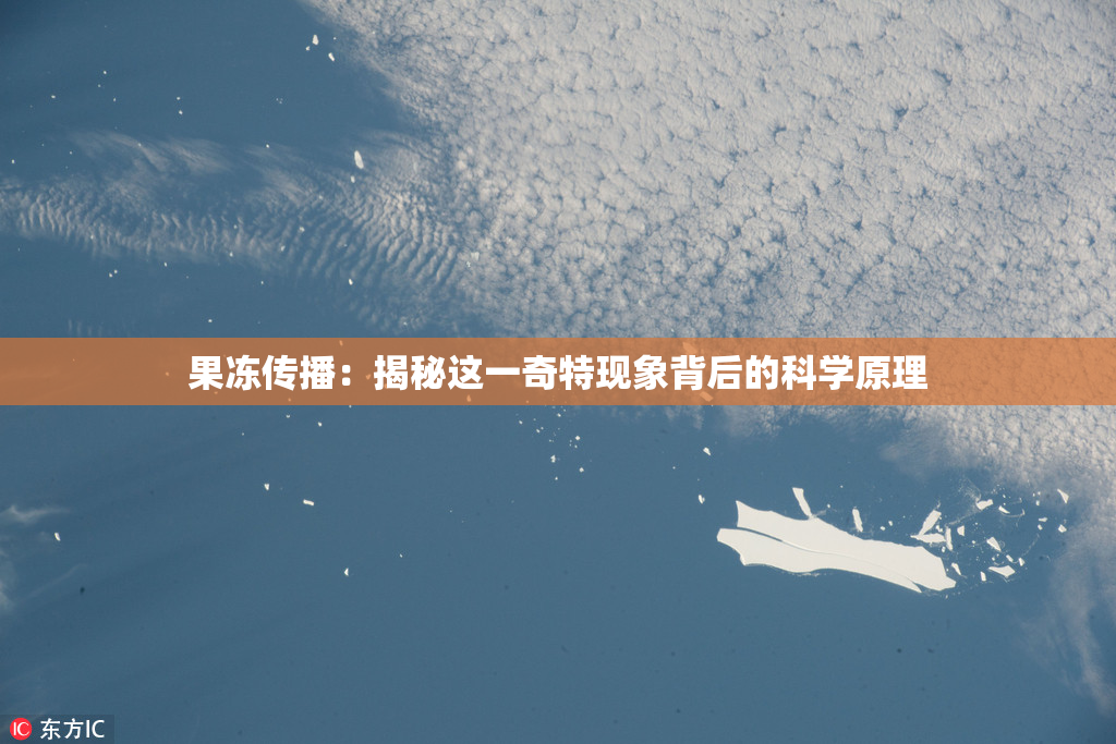 果冻传播：揭秘这一奇特现象背后的科学原理