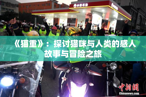 《猫重》：探讨猫咪与人类的感人故事与冒险之旅