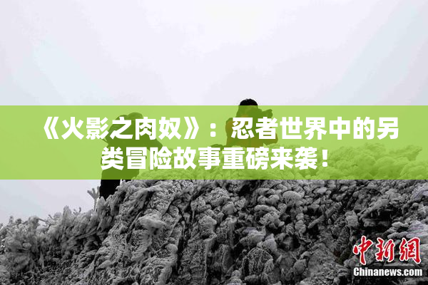 《火影之肉奴》：忍者世界中的另类冒险故事重磅来袭！