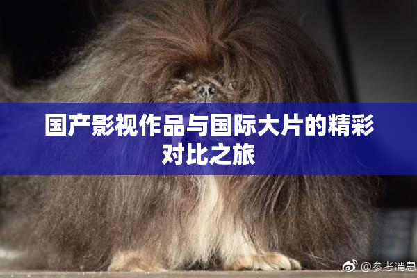 国产影视作品与国际大片的精彩对比之旅