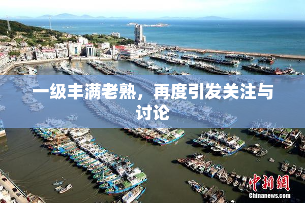 一级丰满老熟，再度引发关注与讨论