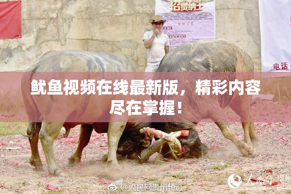鱿鱼视频在线最新版，精彩内容尽在掌握！
