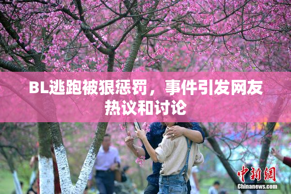 BL逃跑被狠惩罚，事件引发网友热议和讨论