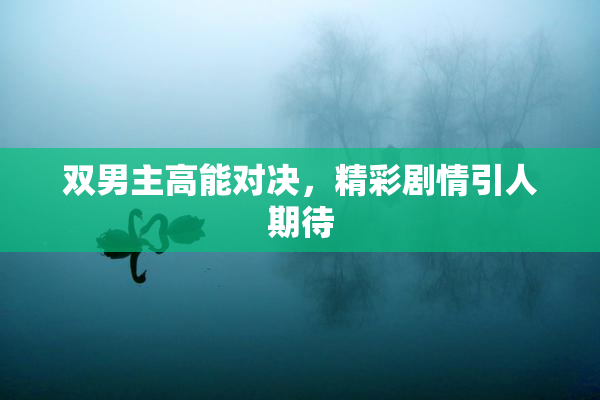 双男主高能对决，精彩剧情引人期待