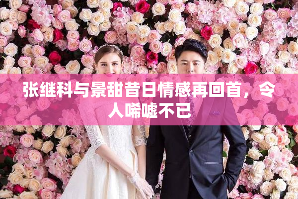 张继科与景甜昔日情感再回首，令人唏嘘不已