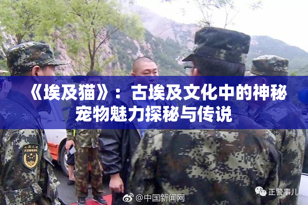 《埃及猫》：古埃及文化中的神秘宠物魅力探秘与传说