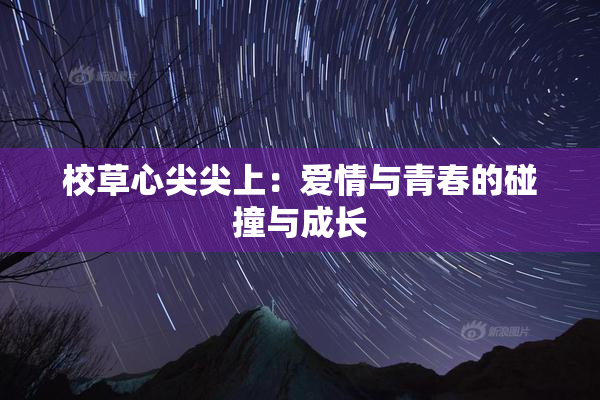 校草心尖尖上：爱情与青春的碰撞与成长