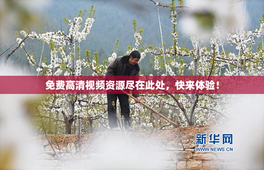 免费高清视频资源尽在此处，快来体验！