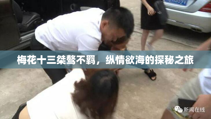 梅花十三桀骜不羁，纵情欲海的探秘之旅