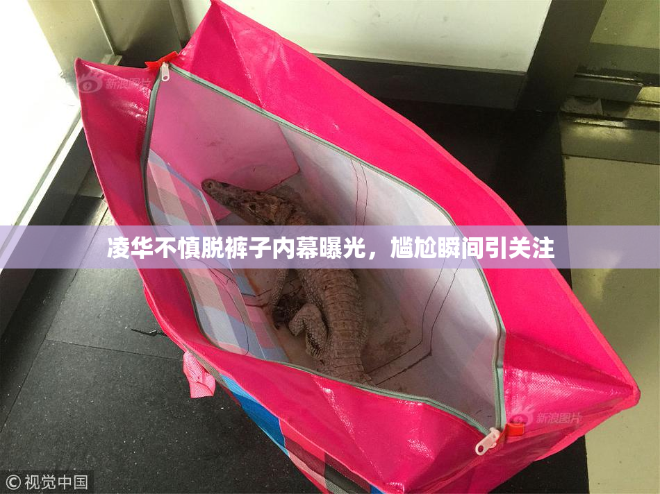 凌华不慎脱裤子内幕曝光，尴尬瞬间引关注