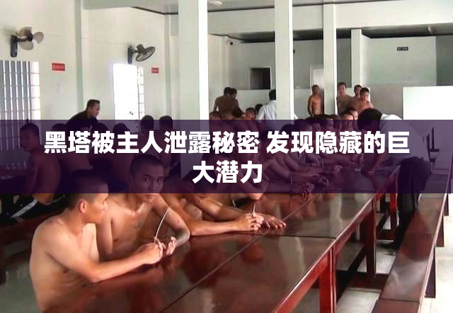 黑塔被主人泄露秘密 发现隐藏的巨大潜力