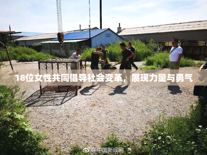 18位女性共同倡导社会变革，展现力量与勇气