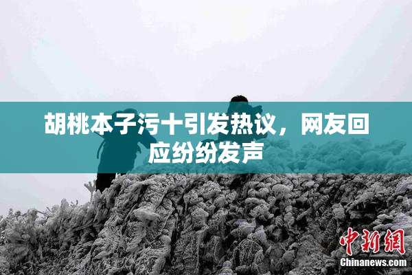 胡桃本子污十引发热议，网友回应纷纷发声