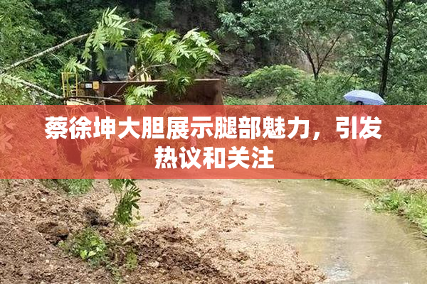 蔡徐坤大胆展示腿部魅力，引发热议和关注