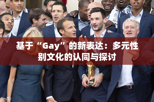 基于“Gay”的新表达：多元性别文化的认同与探讨