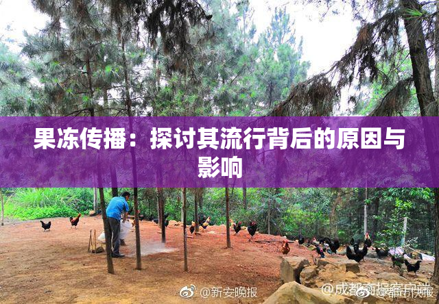 果冻传播：探讨其流行背后的原因与影响