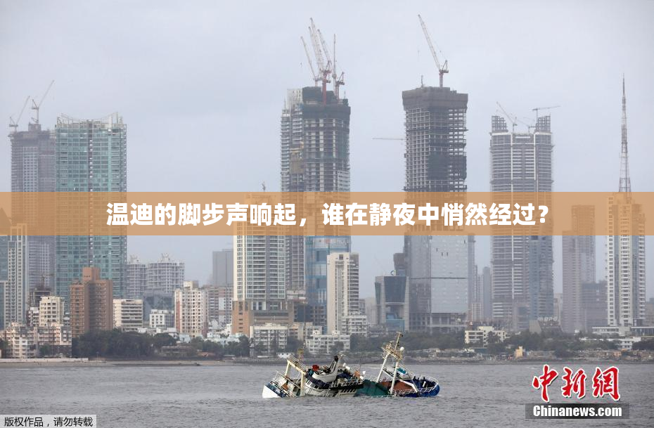 温迪的脚步声响起，谁在静夜中悄然经过？