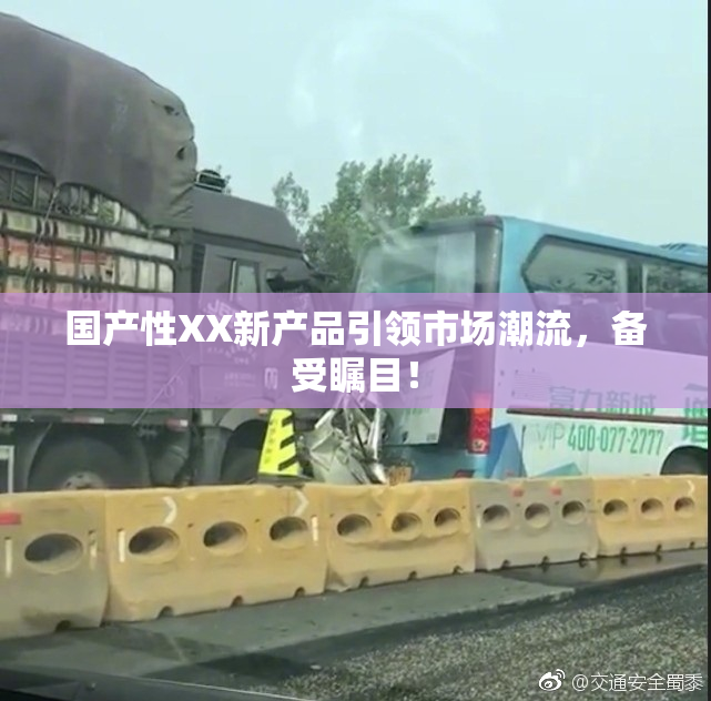 国产性XX新产品引领市场潮流，备受瞩目！