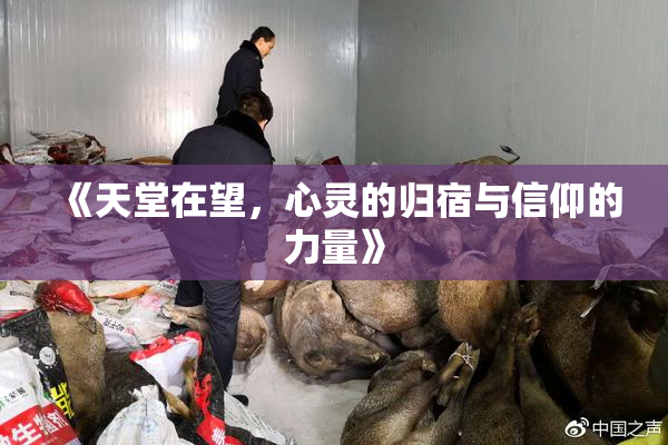 《天堂在望，心灵的归宿与信仰的力量》
