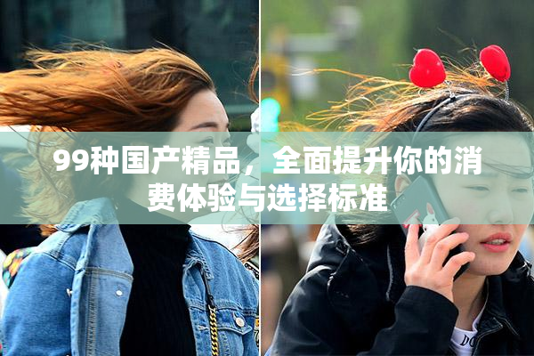 99种国产精品，全面提升你的消费体验与选择标准