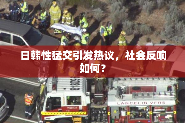 日韩性猛交引发热议，社会反响如何？