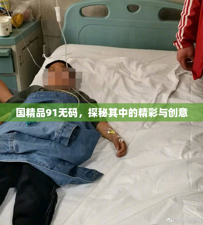 国精品91无码，探秘其中的精彩与创意
