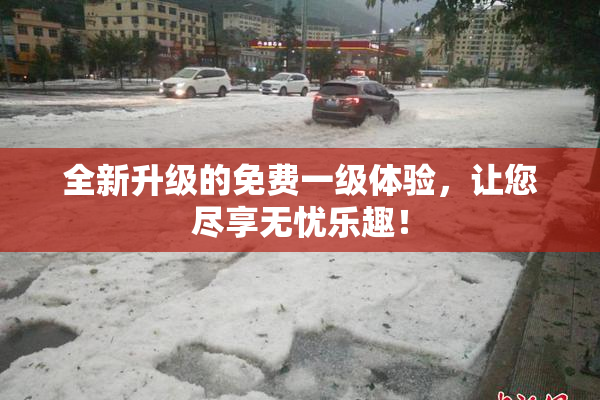 全新升级的免费一级体验，让您尽享无忧乐趣！