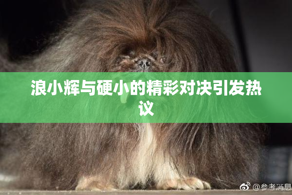 浪小辉与硬小的精彩对决引发热议