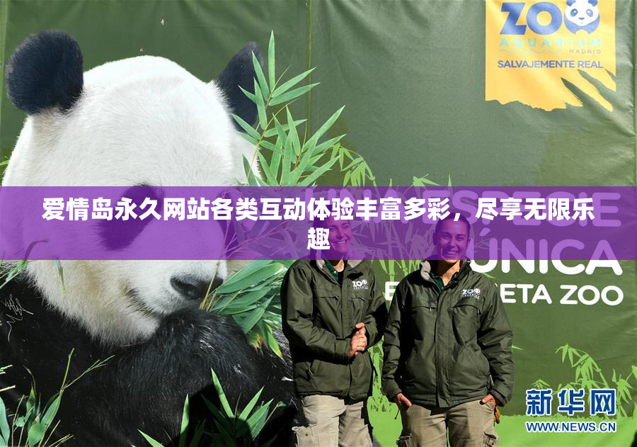 爱情岛永久网站各类互动体验丰富多彩，尽享无限乐趣