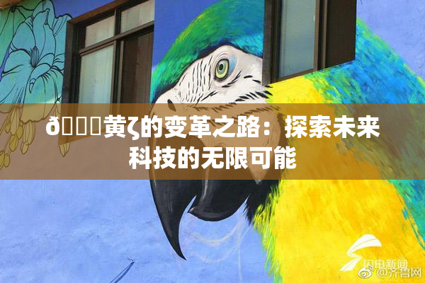 🔞黄ζ的变革之路：探索未来科技的无限可能