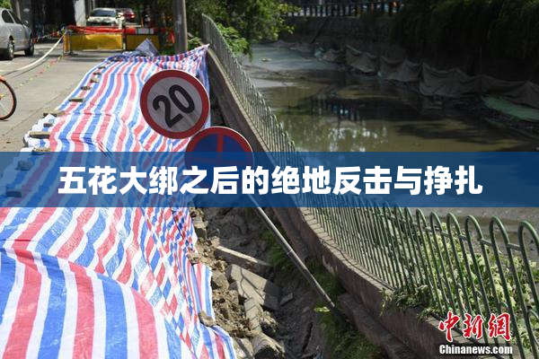 五花大绑之后的绝地反击与挣扎