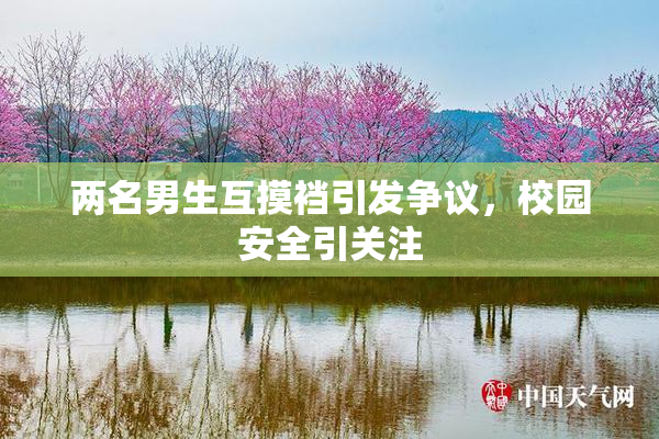 两名男生互摸裆引发争议，校园安全引关注