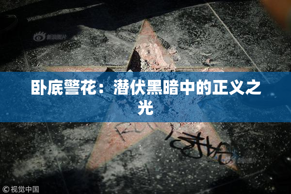 卧底警花：潜伏黑暗中的正义之光