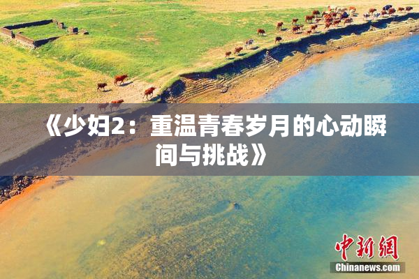 《少妇2：重温青春岁月的心动瞬间与挑战》