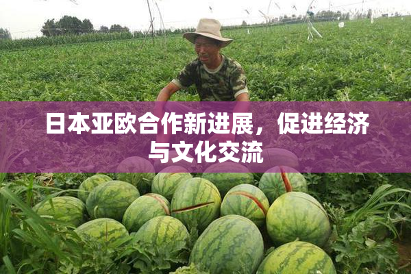 日本亚欧合作新进展，促进经济与文化交流