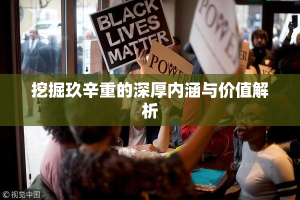 挖掘玖辛重的深厚内涵与价值解析