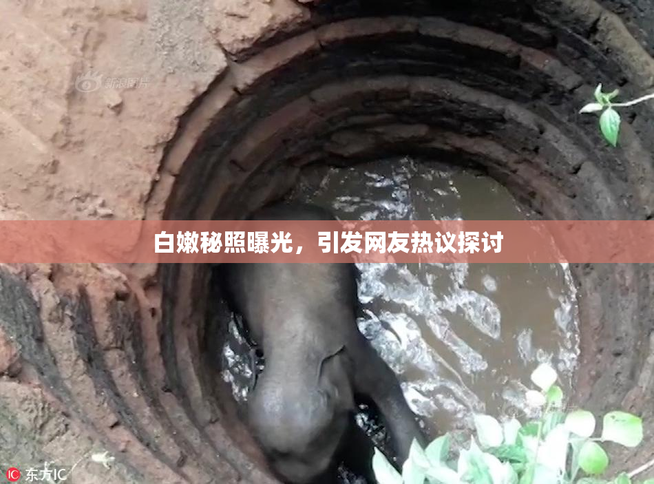 白嫩秘照曝光，引发网友热议探讨